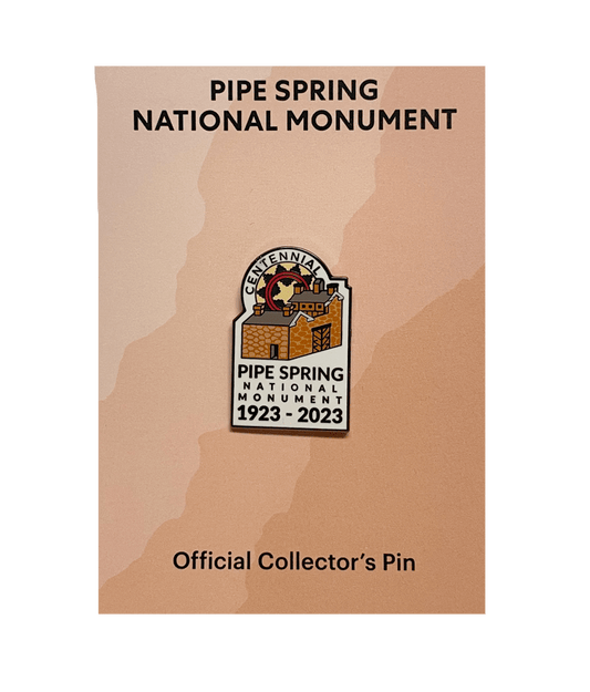 Pin - PISP Centennial